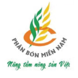 Các trường hợp hợp tác được lựa chọn 4